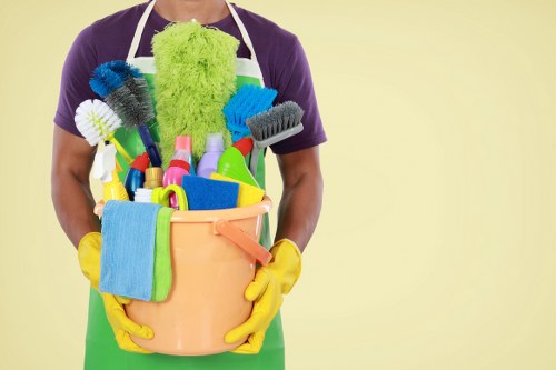 Leaves Green Carpet Cleaners website cookie policy illustration