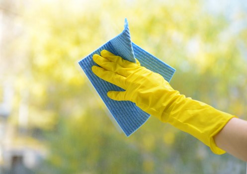 Inclusive website access for Leaves Green Carpet Cleaners visitors