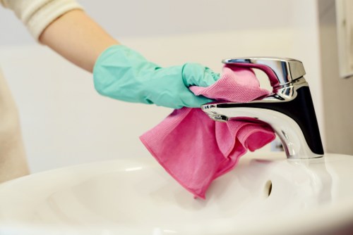Professional mattress cleaning service in Leaves Green