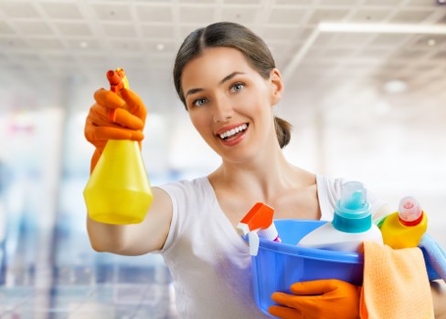 Carpet cleaning service terms and booking conditions