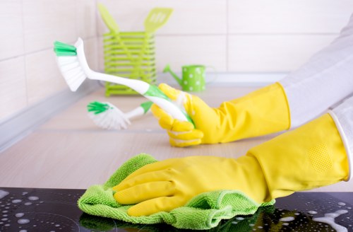 Different curtain fabrics cleaned safely in Leaves Green