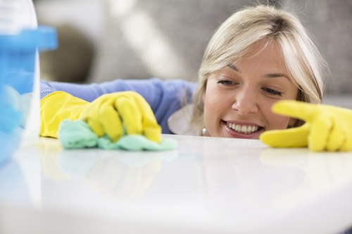 Professional carpet care details from Leaves Green Carpet Cleaners