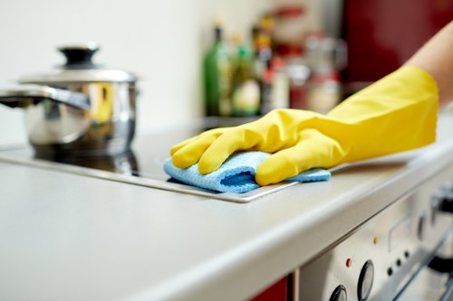 Deep mattress cleaning equipment and stain removal process