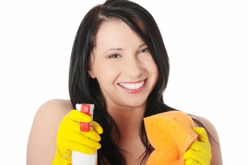 Deep carpet cleaning service in Leaves Green removing dirt and dust