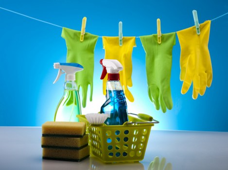 Accessible webpage layout representing WCAG 2.1 AA compliance for Leaves Green Carpet Cleaners