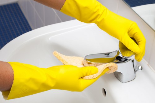 Clean indoor space after Leaves Green Carpet Cleaners service