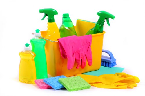 Leaves Green Carpet Cleaners company story and service values